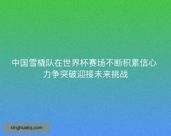 中国雪橇队在世界杯赛场不断积累信心 力争突破迎接未来挑战